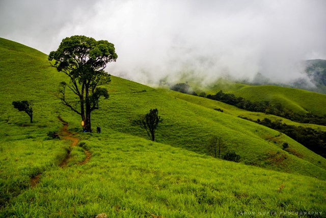 Kudremukh