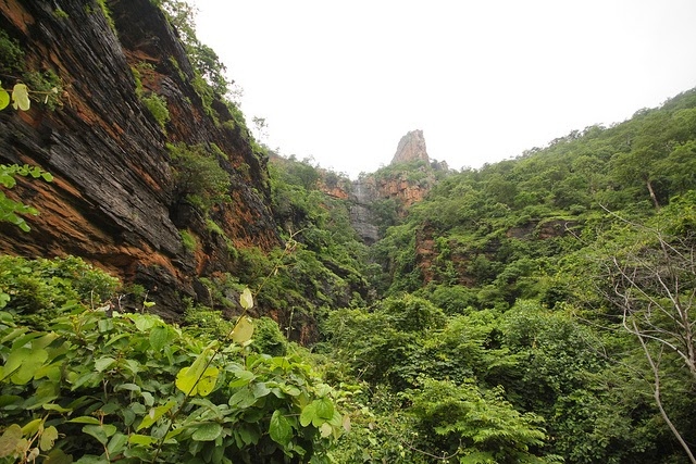 Nallamala Hills