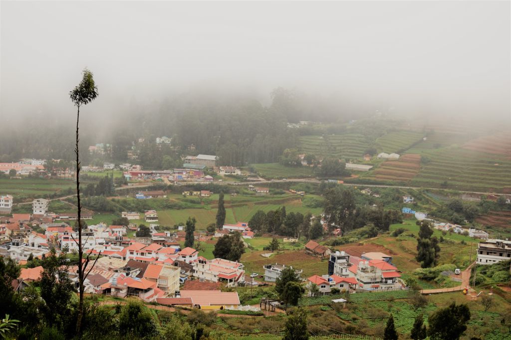 Ooty