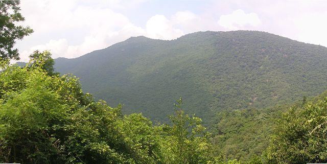 The rich flora and fauna of these hills