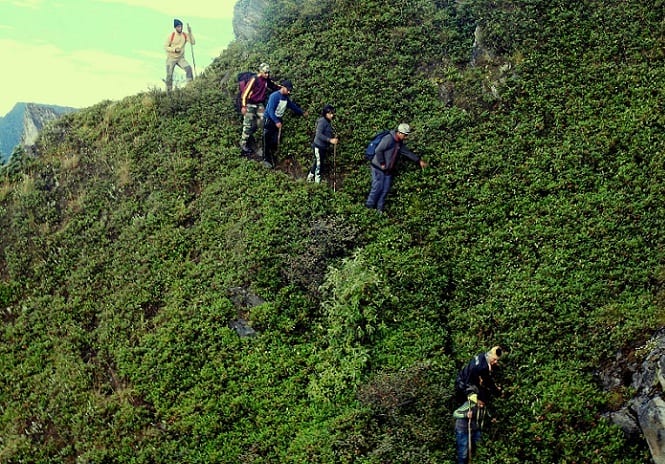 Trekking to explore the beauty