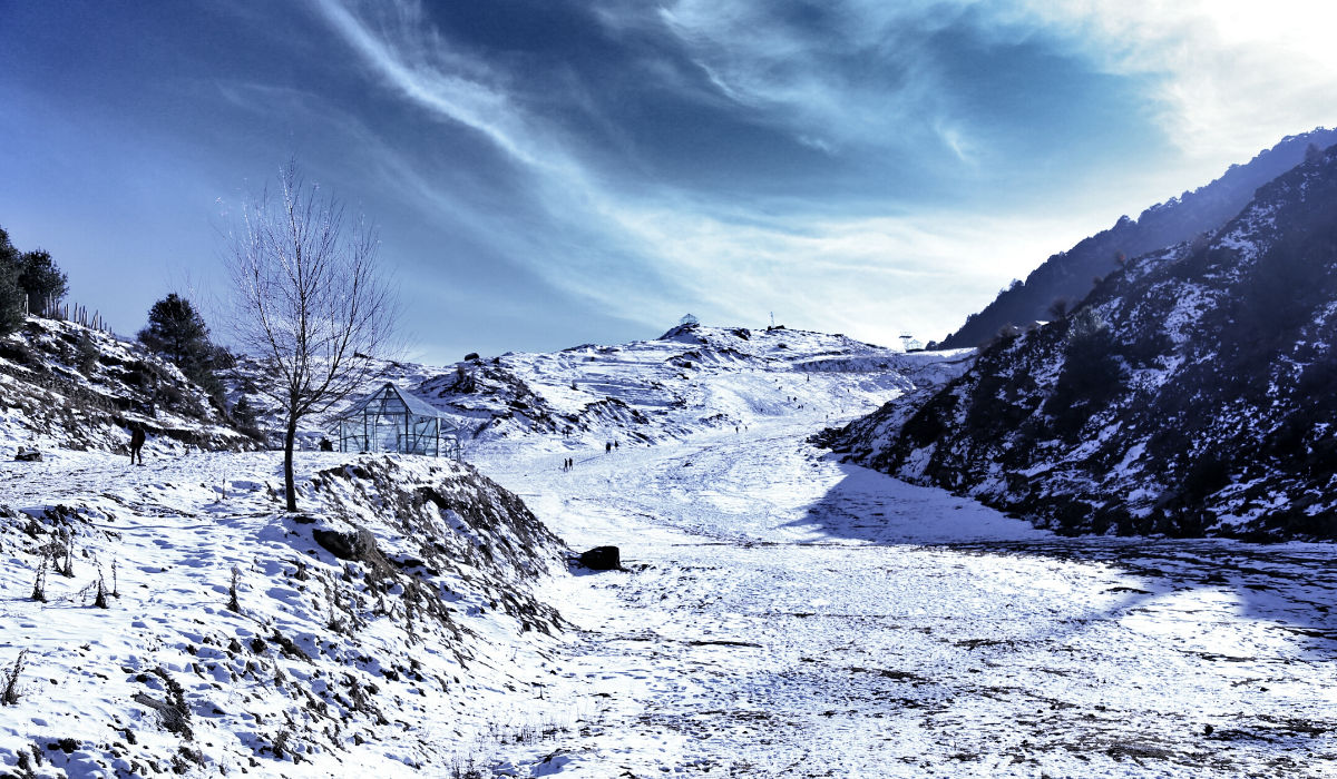 Yumthang Valley