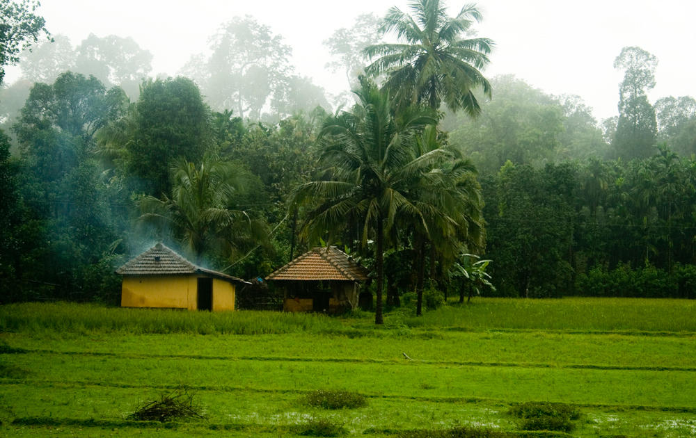 mangalore to agumbe road trip