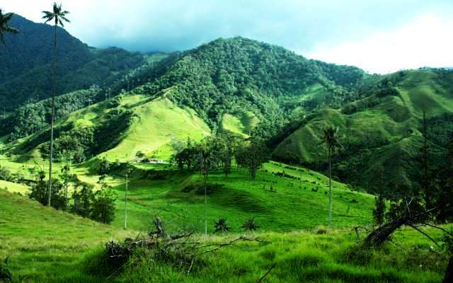 Igatpuri