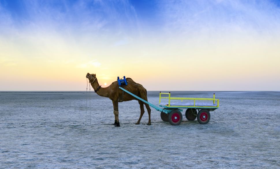 Rann of Kutch