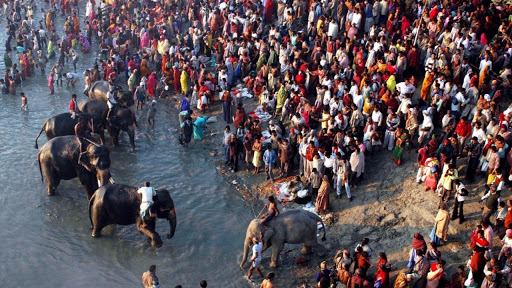 Sonepur Cattle Fair