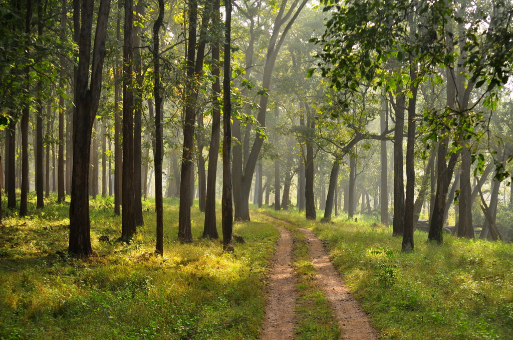 Nagarhole National Park