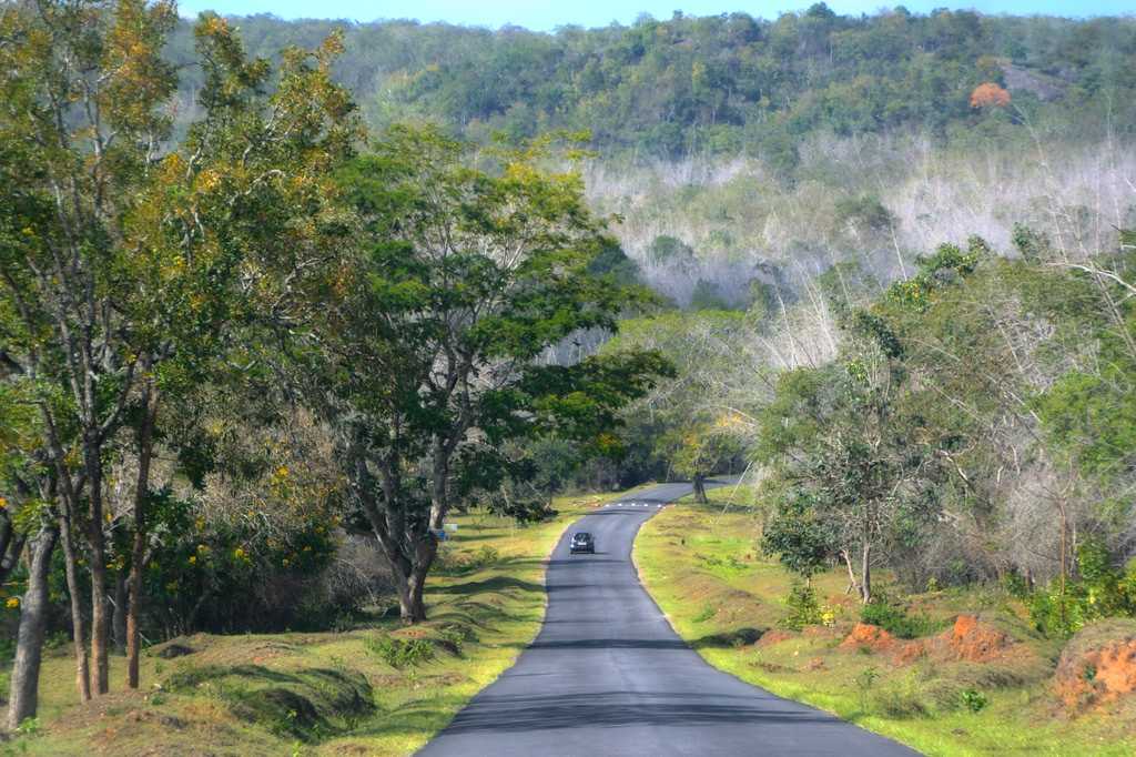 Bandipur National Park