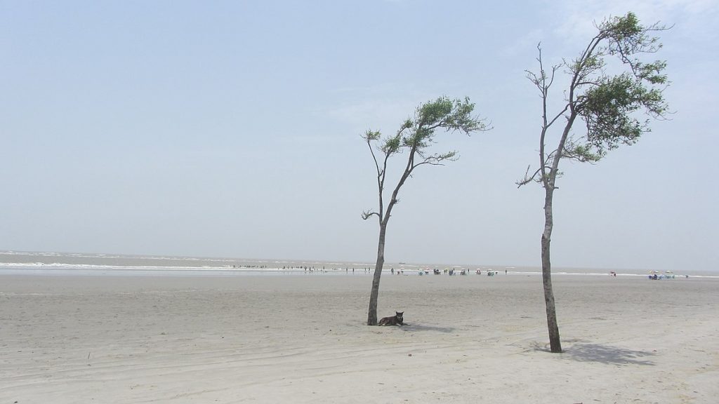 Bakkhali Beach