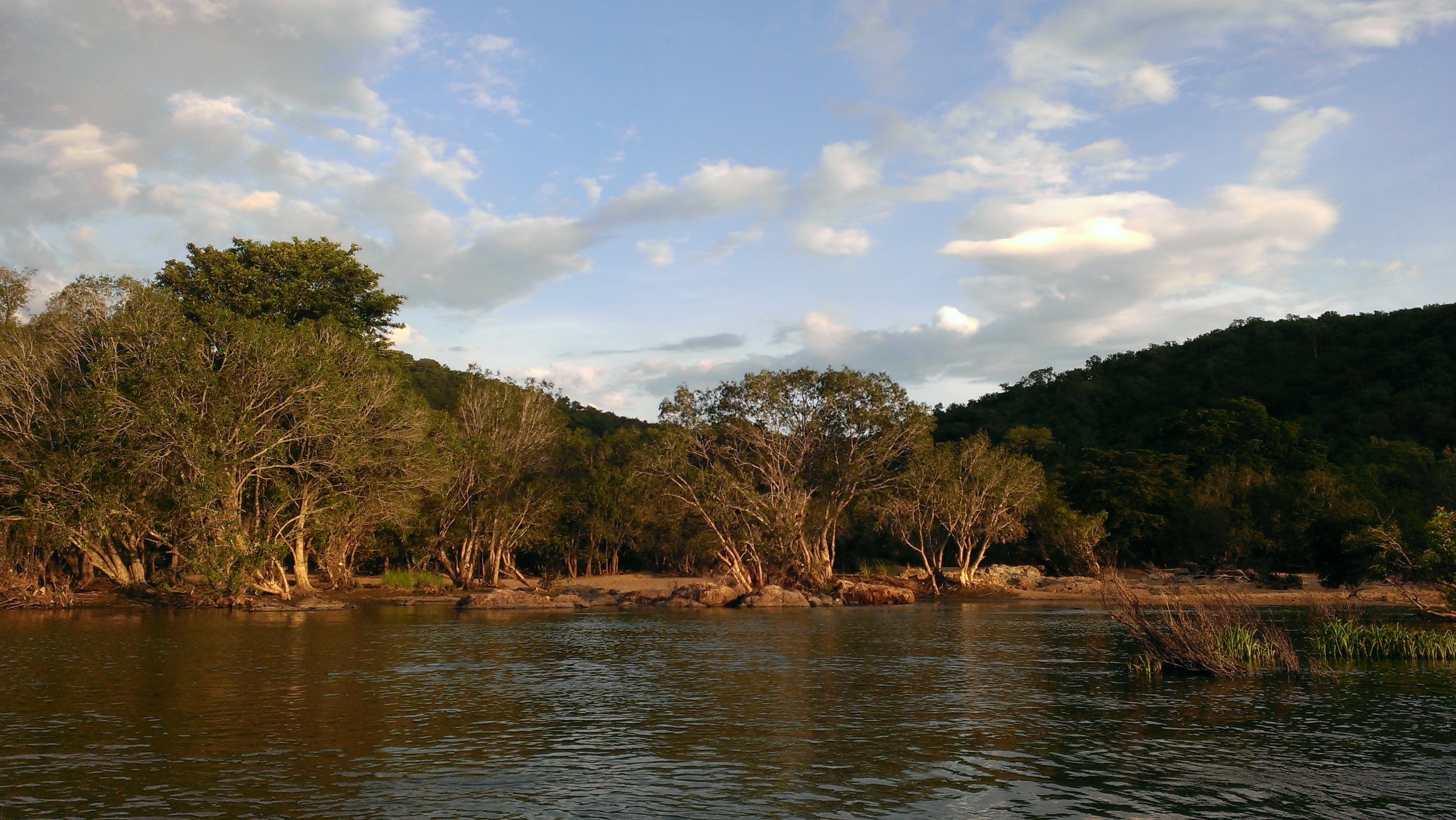 Cauvery Wildlife Sanctuary