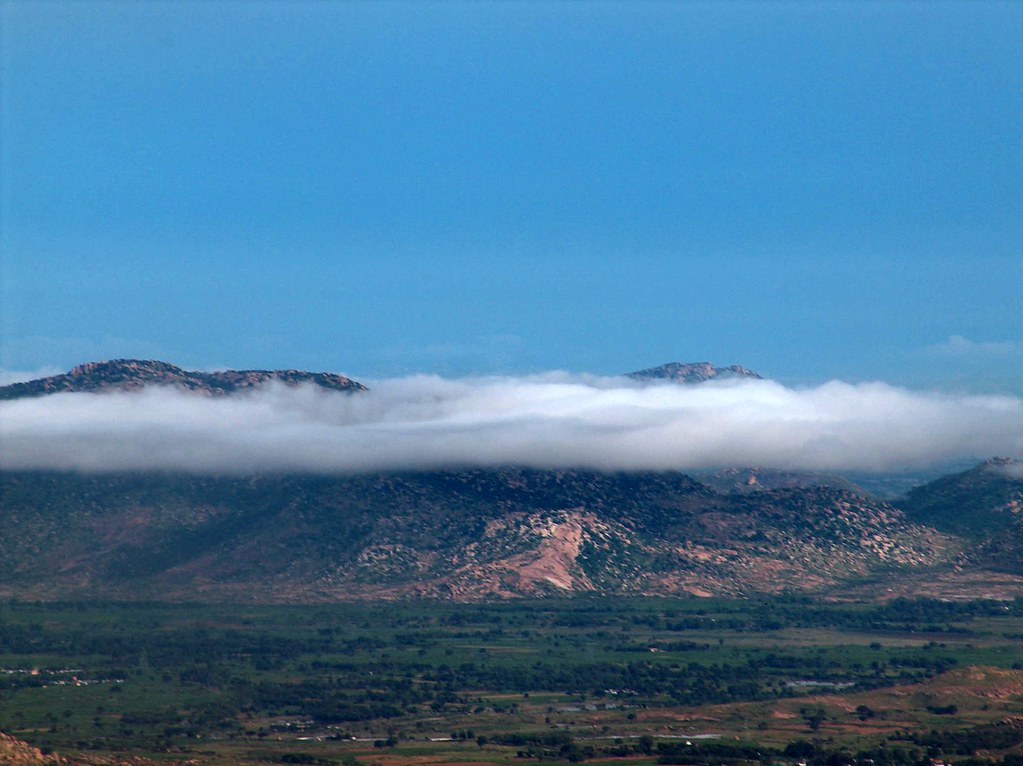 Horsley Hills