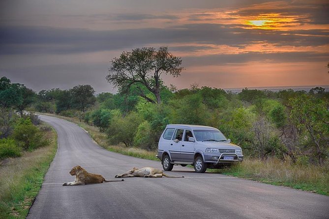 Jaipur to Ranthambore