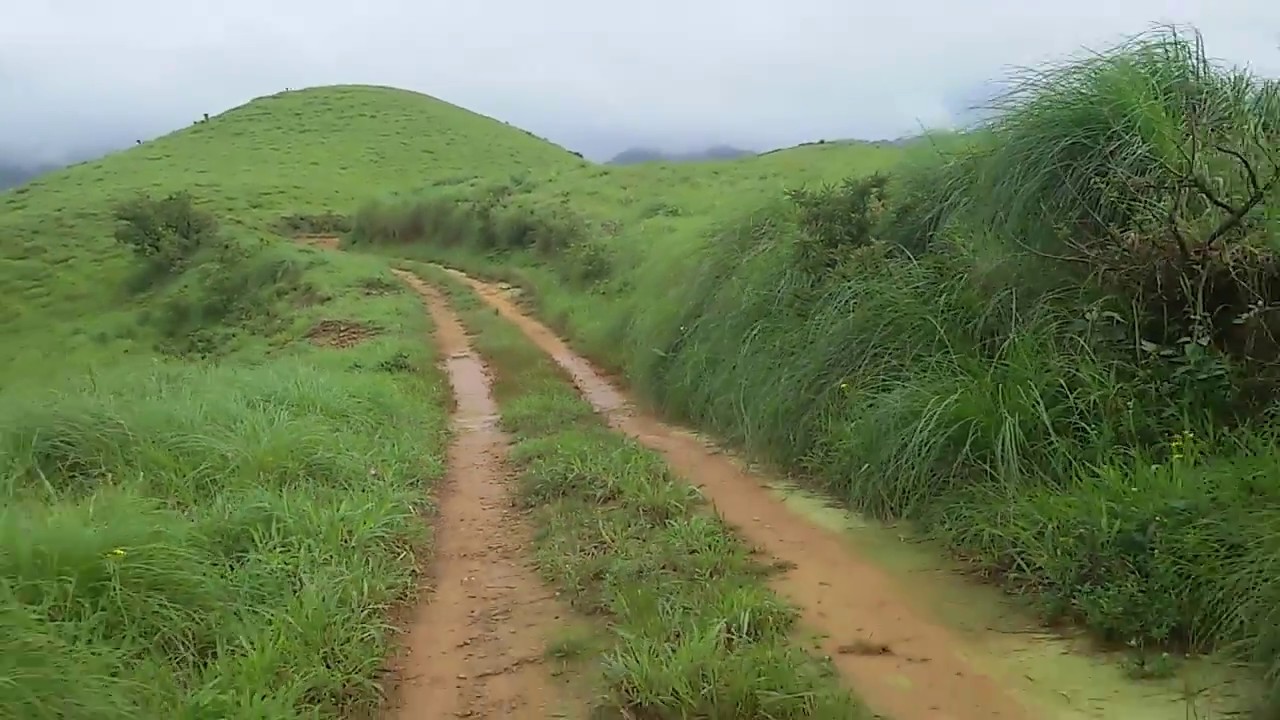 Kudremukh National Park