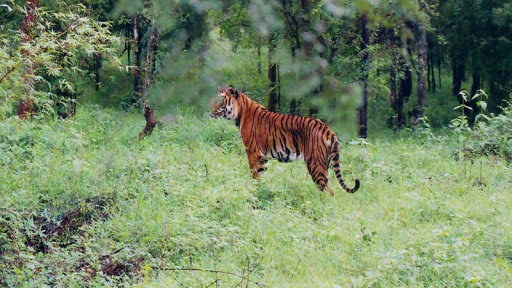 Mookambika Wildlife Sanctuary