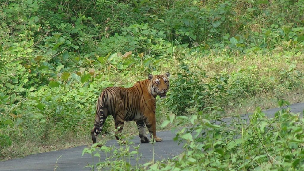 tourist places in tamilnadu during summer