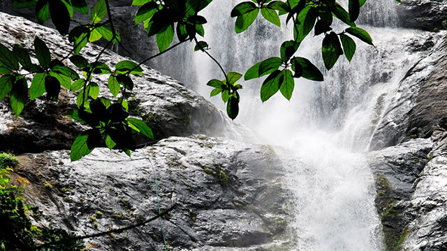 Palaruvi Waterfalls