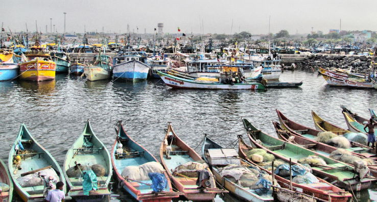 Royapuram Fishing Harbour