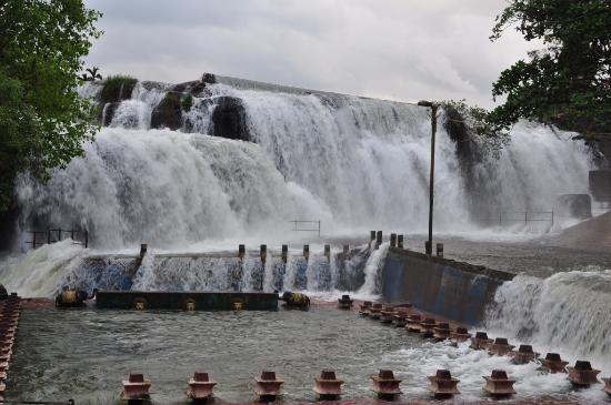 Thirparappu Falls