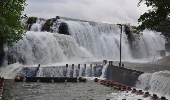 Thiruparappu Waterfalls