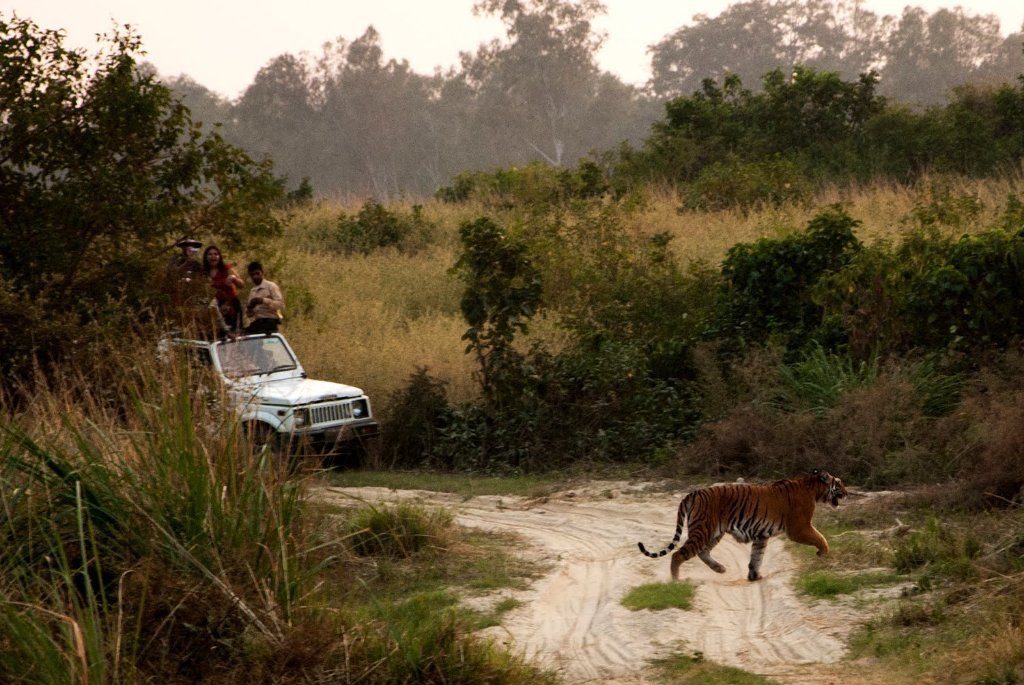 Bhairamgarh Wildlife Sanctuary