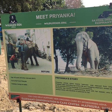 Elephant Conservation & Care Centre
