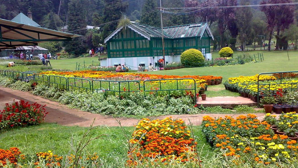 botanical garden in ooty