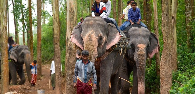 Carmelagiri Elephant Park