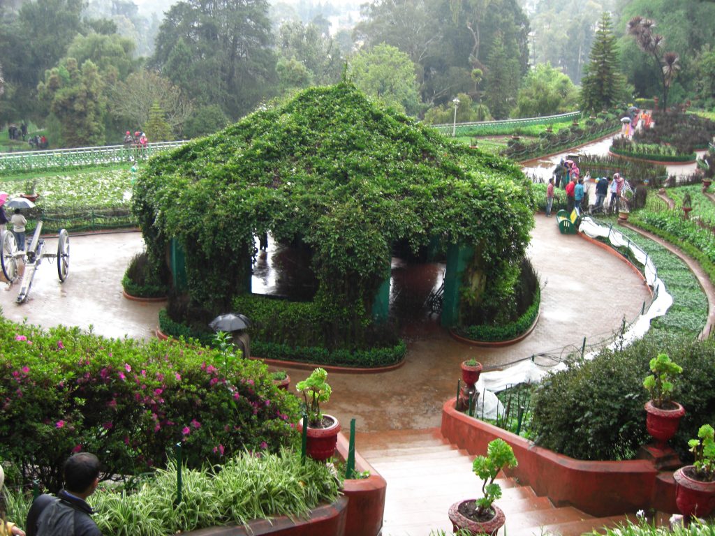 Explore the Ooty Botanical Garden