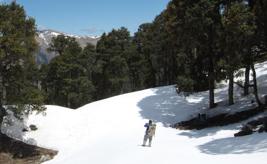 Jalori Pass