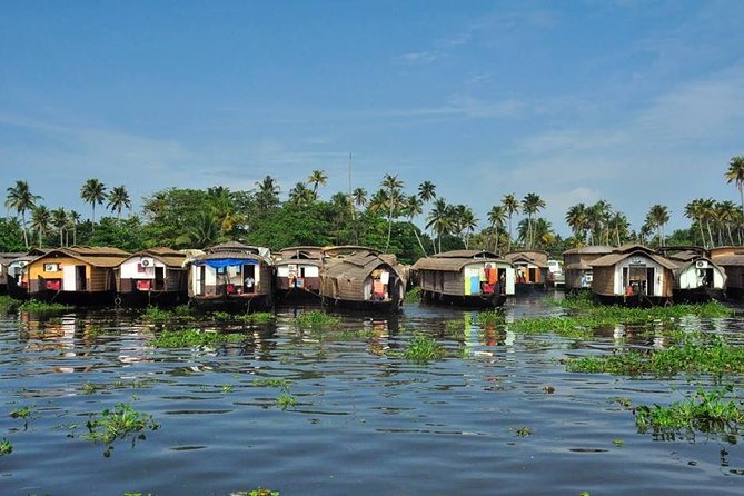 Kochi to Periyar National Park