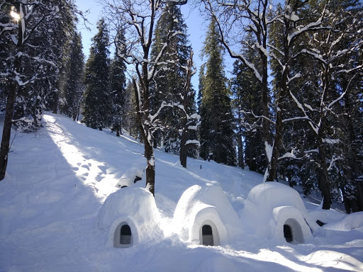 Manali, Himachal Pradesh