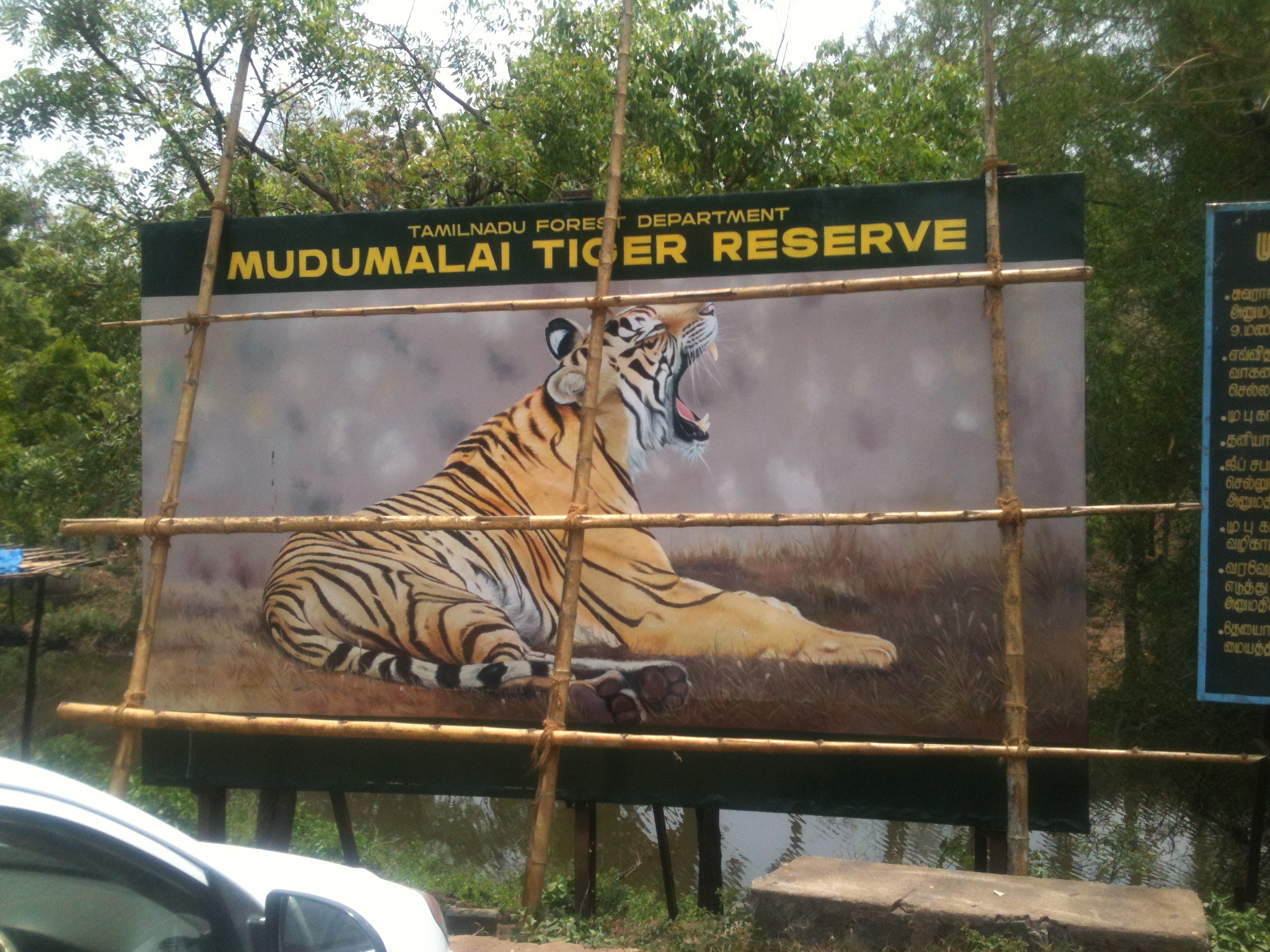 MuduMalai Tiger Reserve