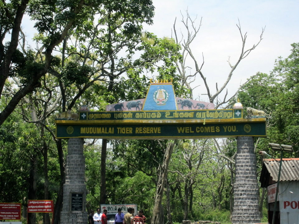 MuduMalai Wildlife Sanctuary