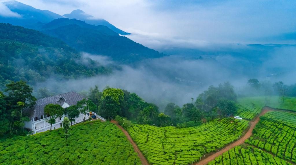 8 Road Trips To Trekkeing Sites In South India Places To Visit   Munnar HD Image 1024x574 