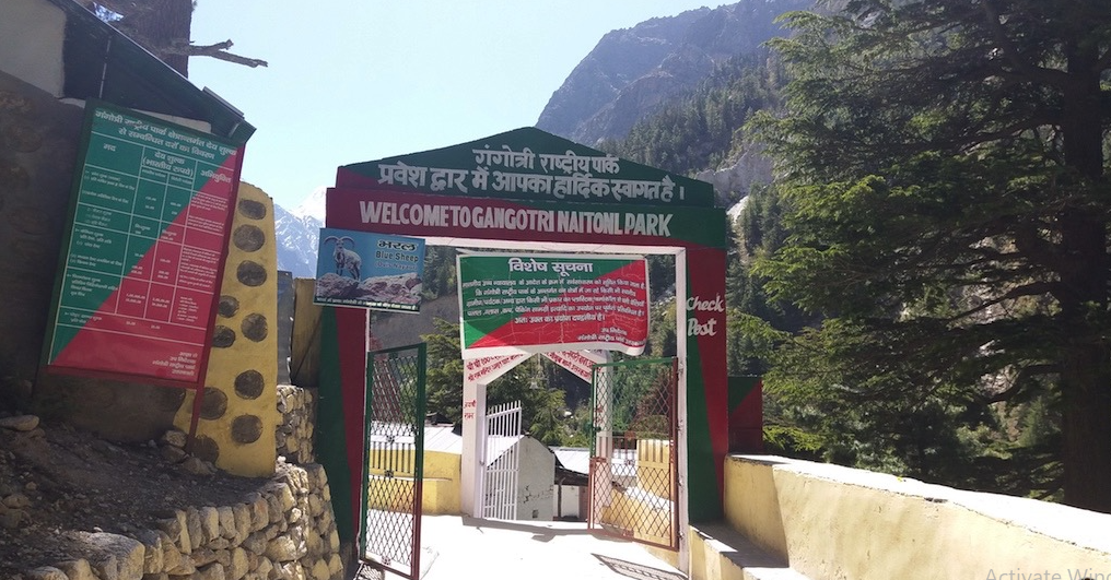 Gangotri National Park