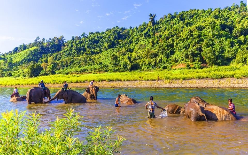 Sakrebailu Elephant Camp