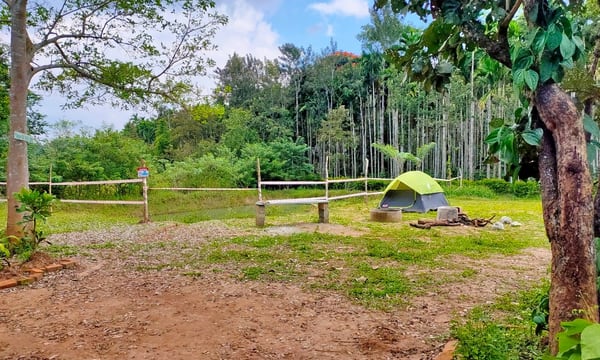 Jungle camping at Gonikoppal, Coorg