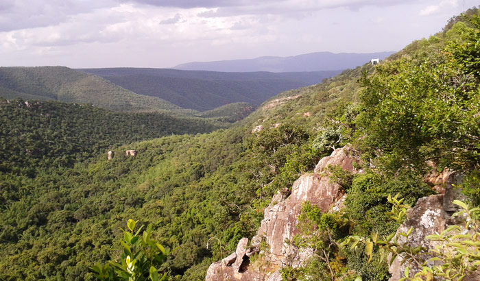 Sri Venkateswara National Park