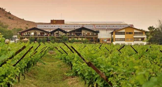 Sula Vineyards