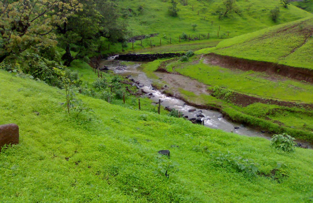 tours and travels nashik road