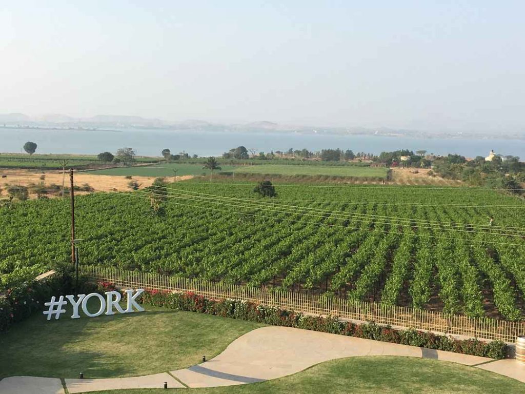 York Winery and Tasting Room