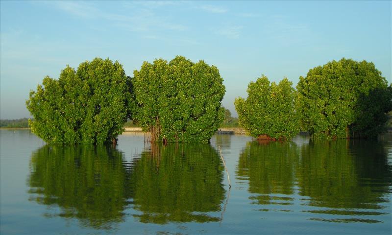 Munroe Island