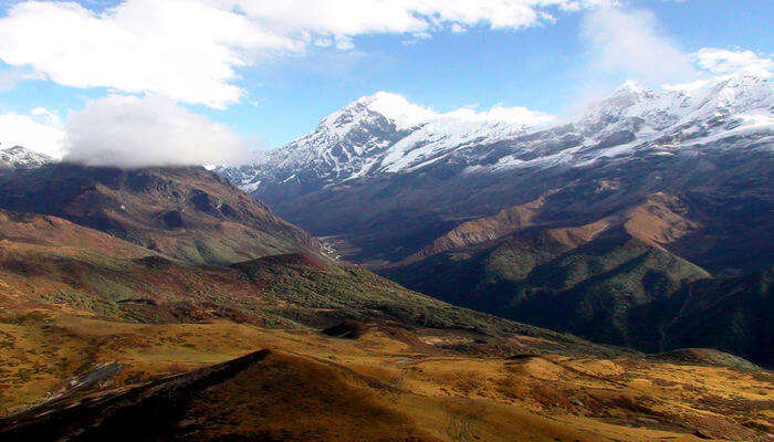 Trek from Dzongri to Dzongri top,
