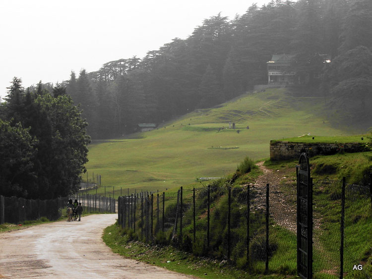 naldehra peak, Shimla