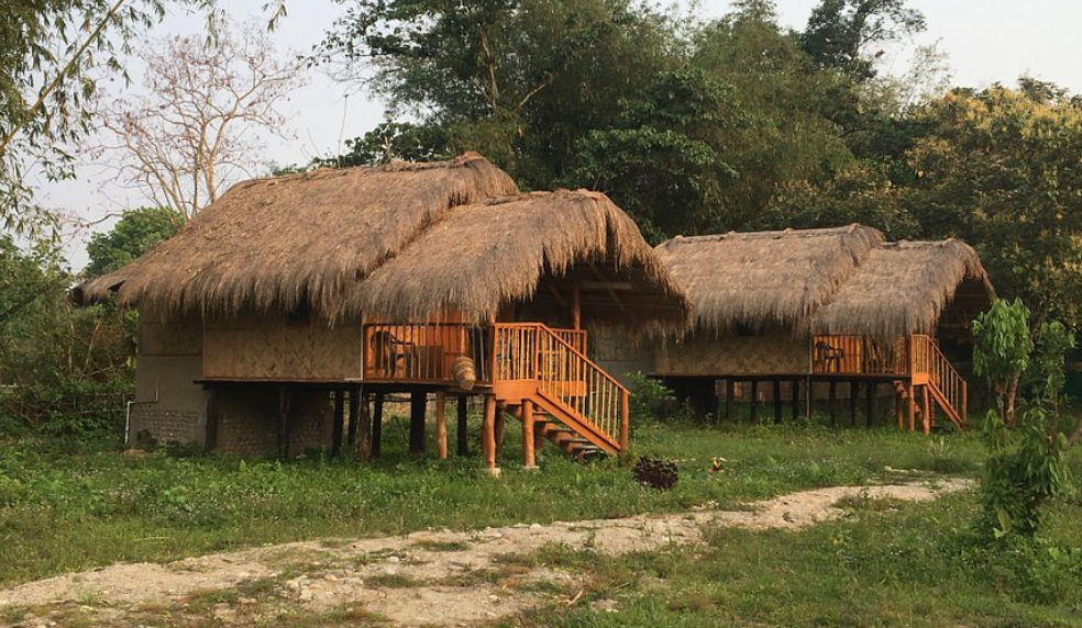 Eco Camp, Nameri National Park, Assam