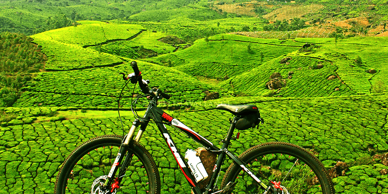 Cycling - Munnar