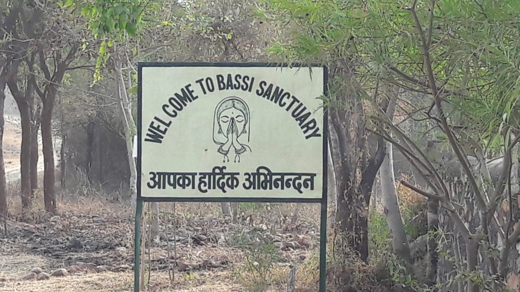 Bassi Wildlife Sanctuary