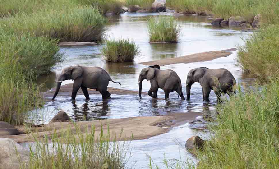 tamil nadu couple tourist places