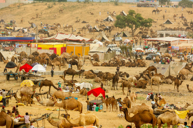 Pushkar Mela