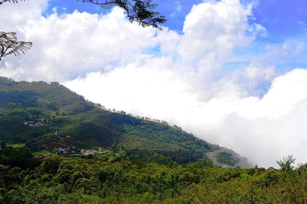 Mudumalai, Tamil Nadu